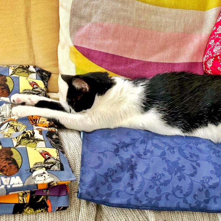 683e6e84 6e0a 4d38 905f 1e39fd939ada 1720133431858