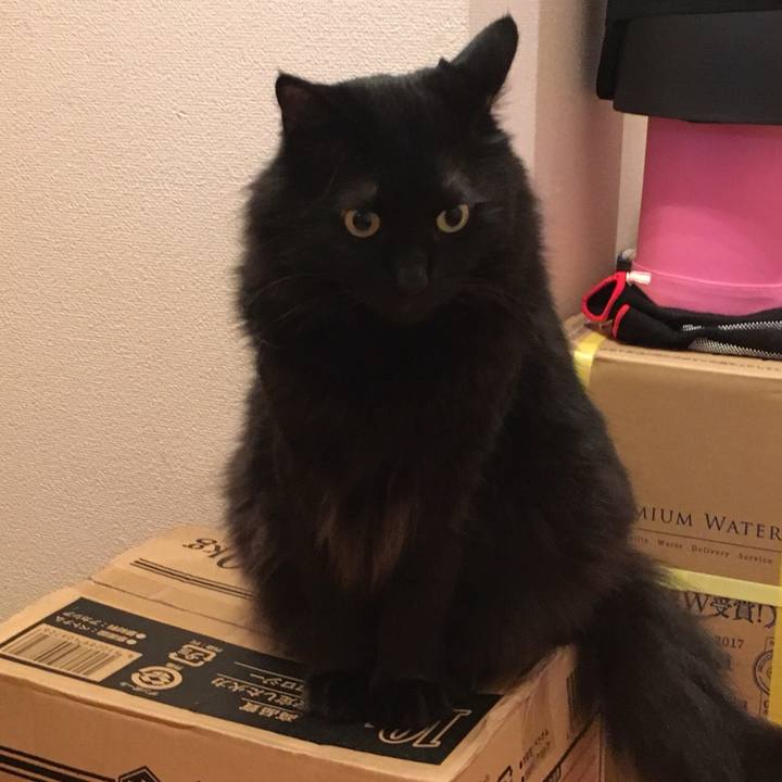 683e8aa1 4221 400c aa85 0e3f7571b917 1531434586031