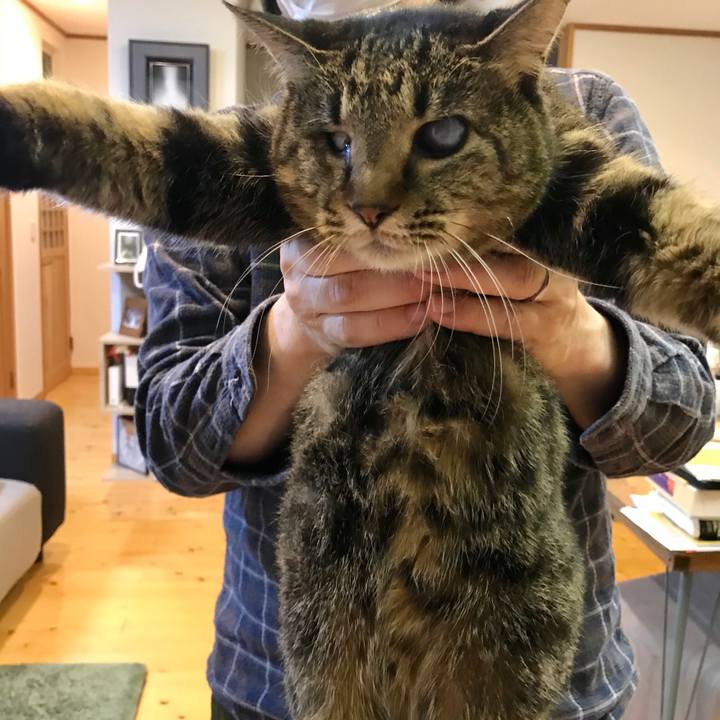 683e96ae e369 41d5 9cbb 7d1adef0989d 1580724123995