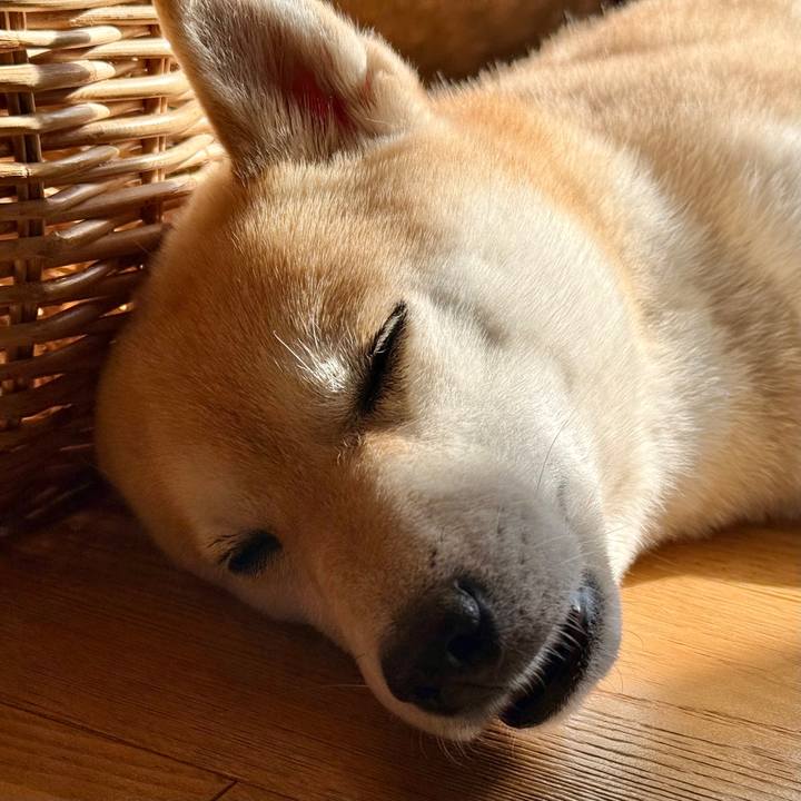 683ea87d 6077 4dd0 ae57 ad71efb64120 1770775001116