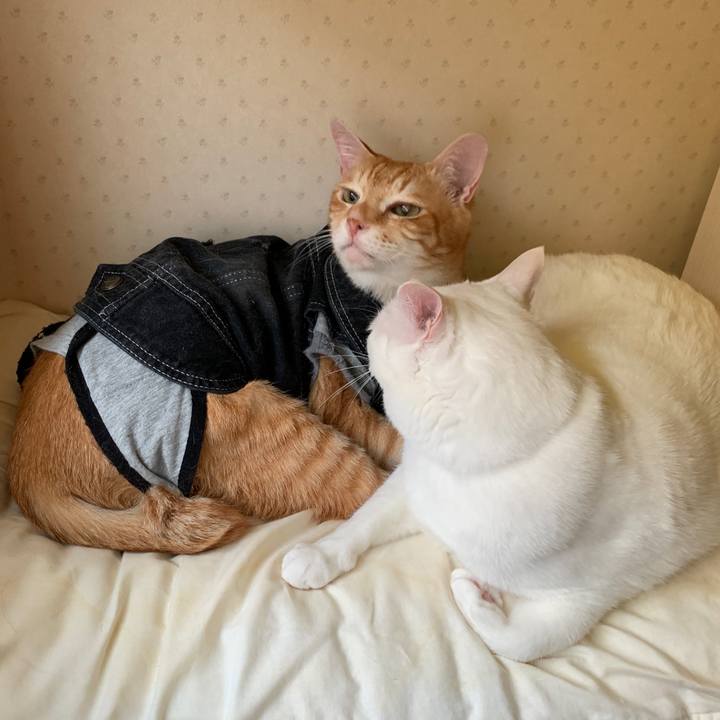 683ebf6c eb58 4bd4 87f6 26b1e1d598cb 1647065087512