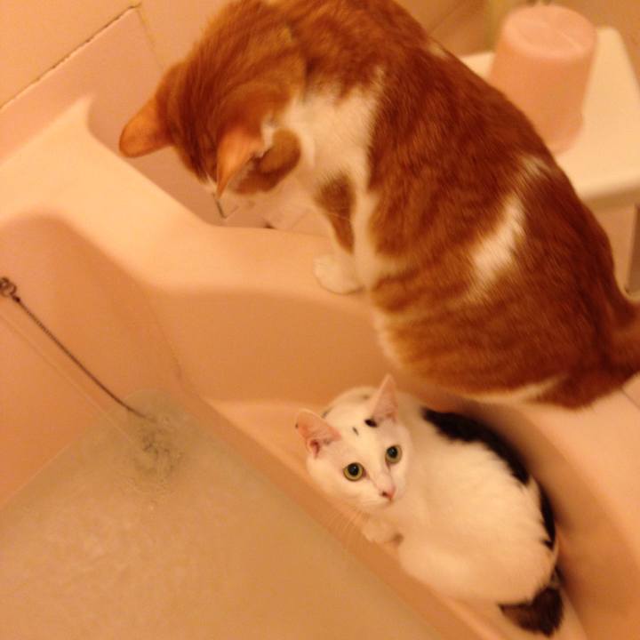 683ef5de ae3c 4914 9bc3 a392e23f71c9 1508931276943