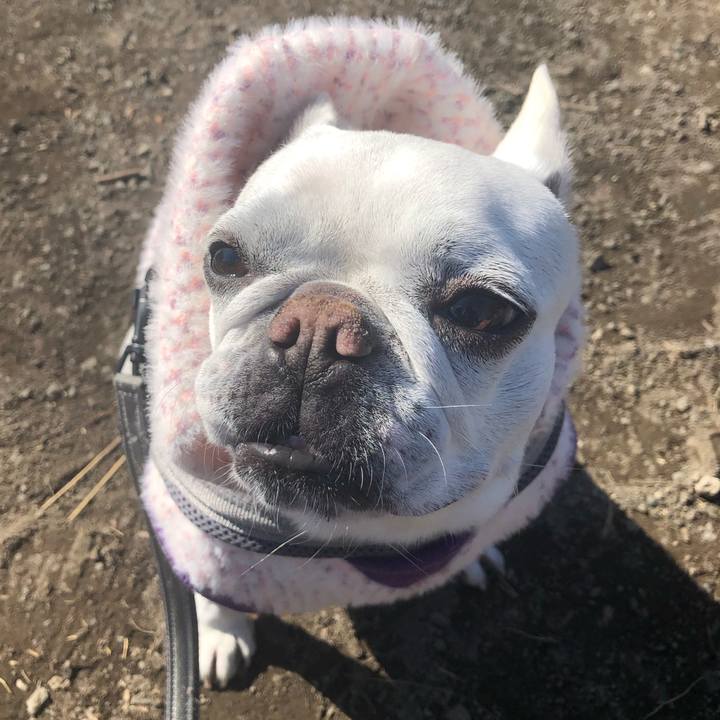 683f0fe0 57d2 4b91 a9bf c21667496e35 1645875616908