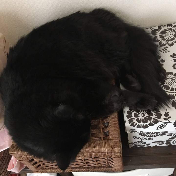 683f33f3 ea2f 4e41 87a7 787eb3912633 1521681428898