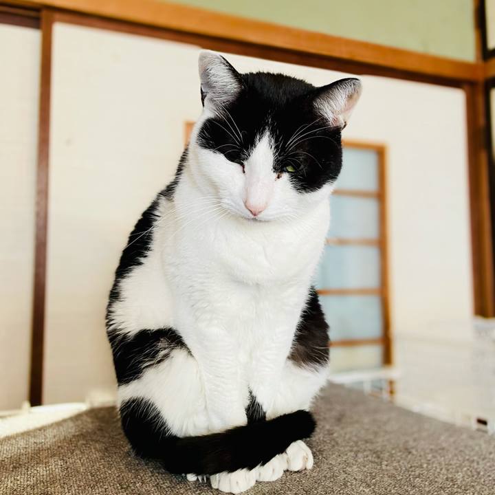 683f4cad eaad 49e6 b6cc f1592da3fb84 1616553186228