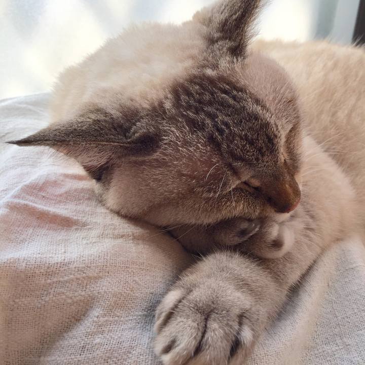 683f5abd e4e7 4796 bc2c f516766e2cf1 1568243840935