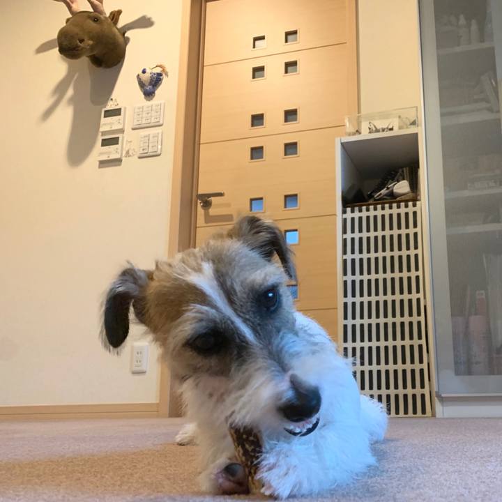 683f696c 78f0 4184 857b 10960eefd6e7 1574403962997