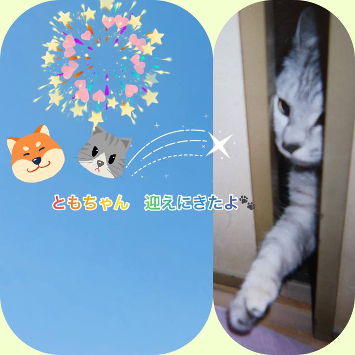 683fc233 409c 41b6 bf6e a4cd0ff032e8 1619135454630