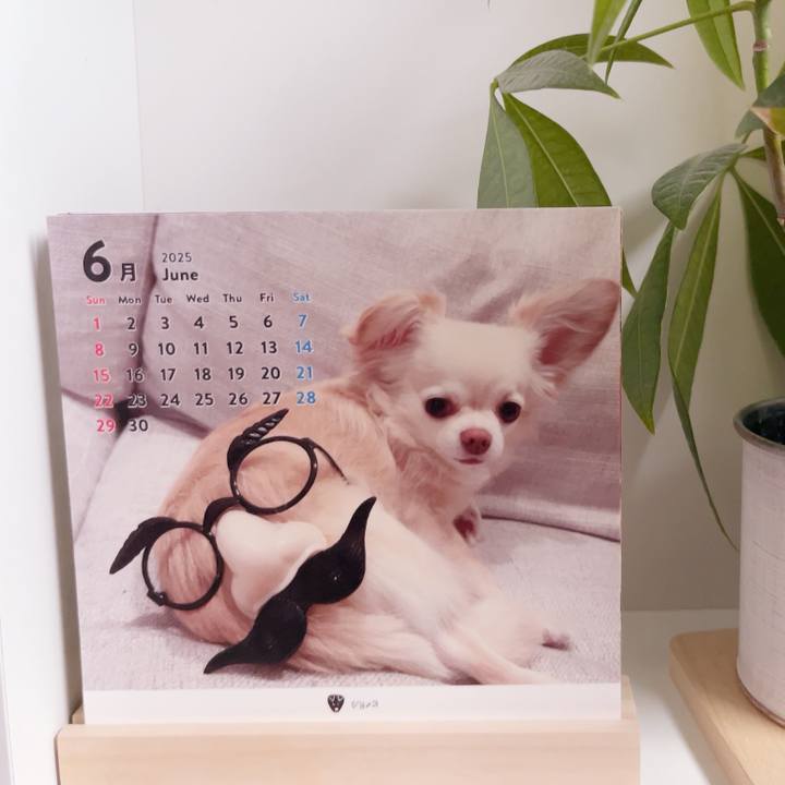 683fc6bb 55f1 48fa a576 81f29eaf200e 1748923482928