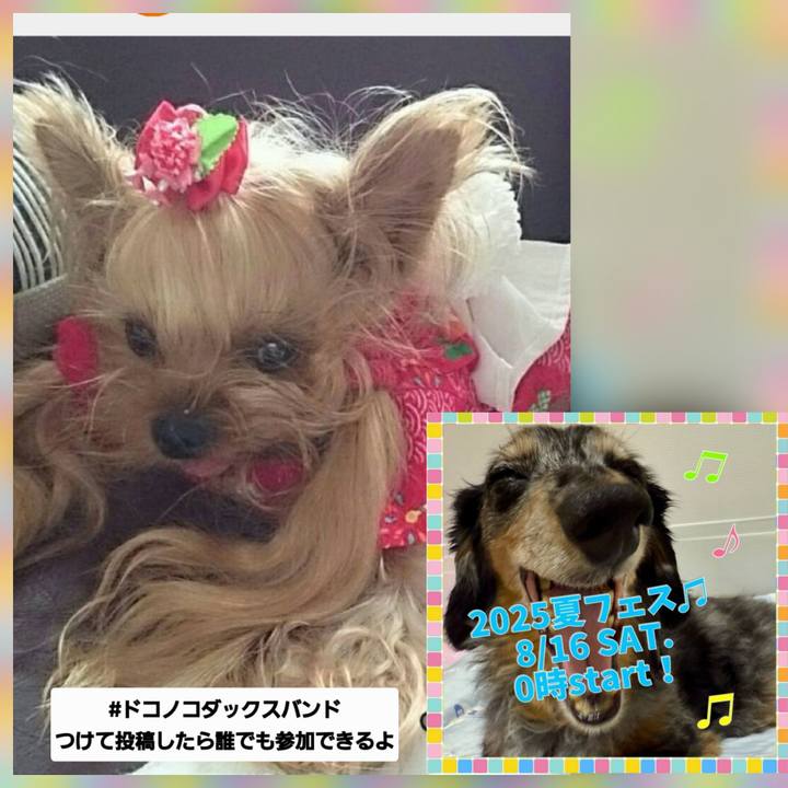 683fd597 f5f0 4a69 b50b ac541b8a7a31 1755004607470