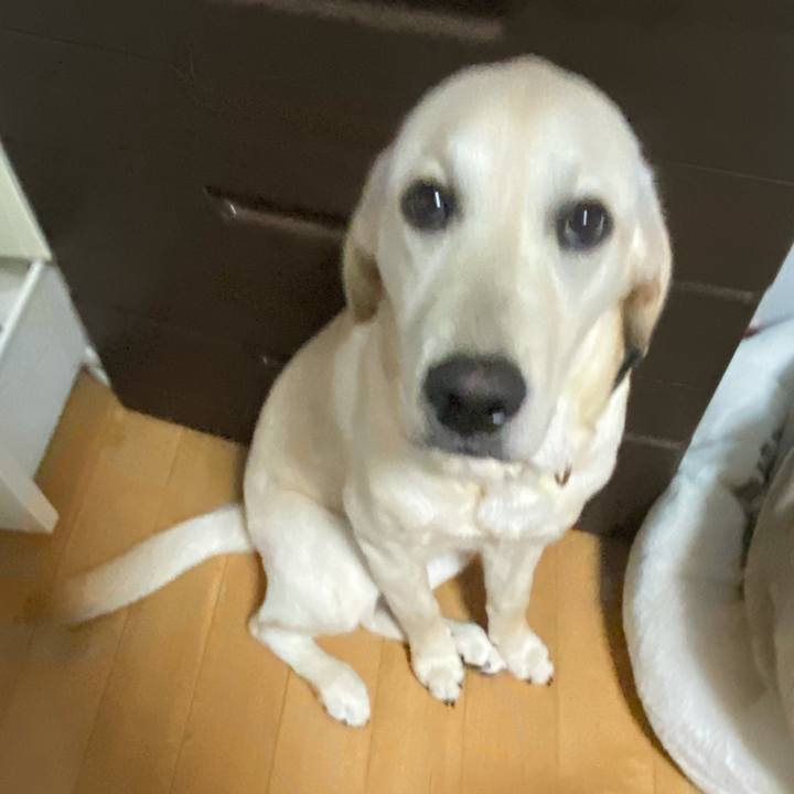 683fef25 118e 460d addb cb6d01f0a417 1621251058822