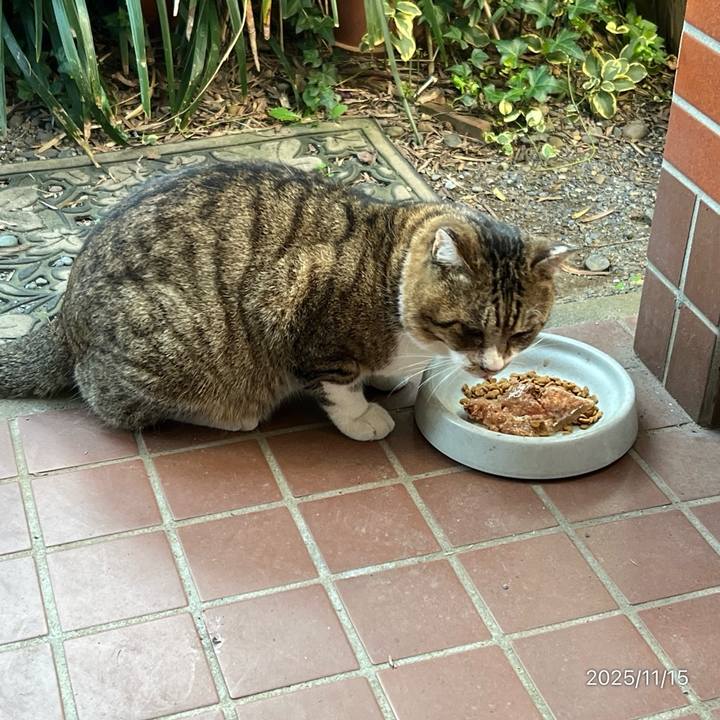 684018cf ec56 4856 b083 165bcb4b6991 1763185738455