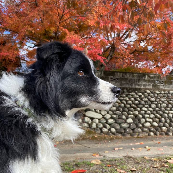 68403daf ad35 4f99 8de5 12e5d7eee1ca 1637639151738