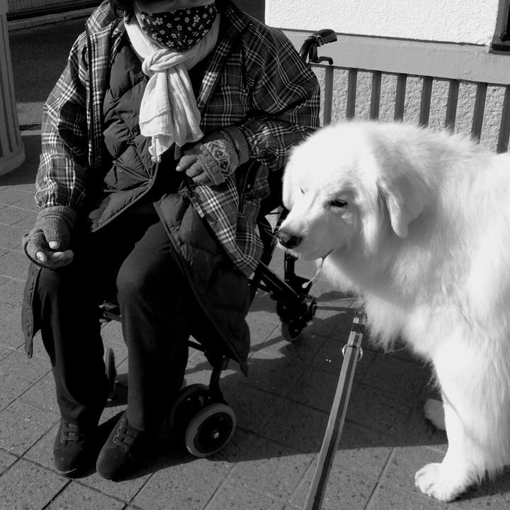 68405c5f 06d1 4255 9680 897969b815c0 1674099871038