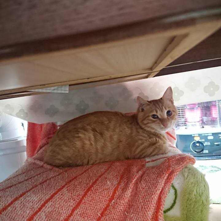 6840656e e502 43a3 9256 7362f7c73083 1635989595942