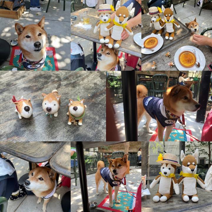 68407f71 3b2c 4f1a bbc4 4cfa1a53e6f7 1649685223002