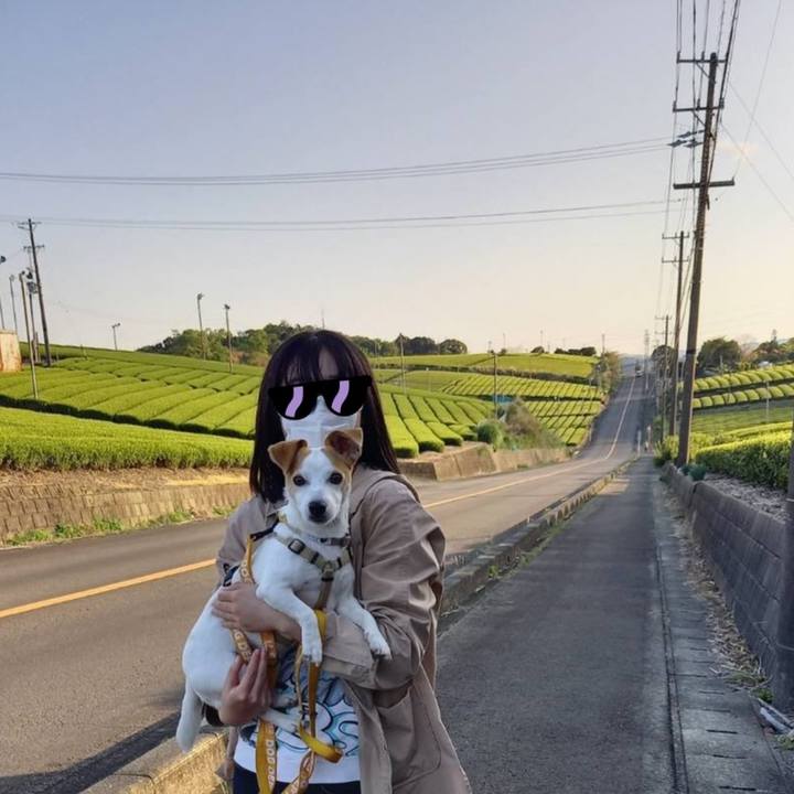 6840c2d3 676b 49eb a78f fc02a4c03cb0 1618144387895