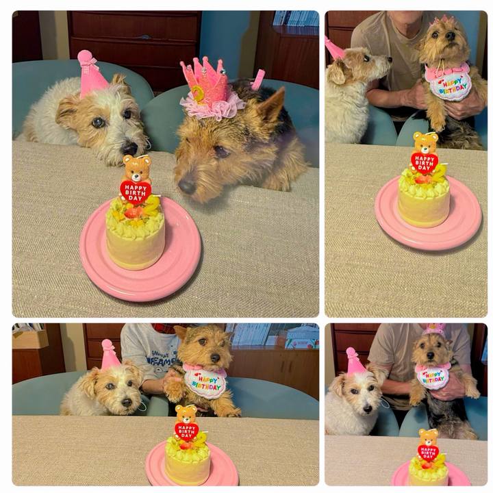 6840c2de 088f 4b39 ae53 643e1c1950c6 1773916321941