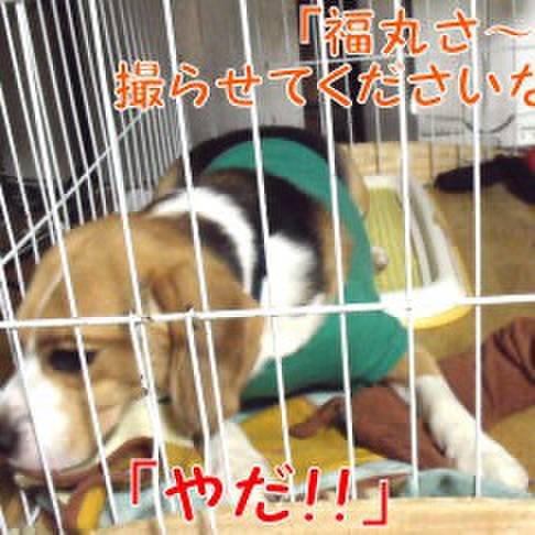 6840d53b 3bc2 4497 8f88 9e6468a0907b 1720737756571