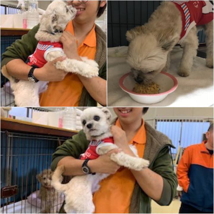 6840e31f 0f90 46b7 a559 471ba6f10243 1579605258612