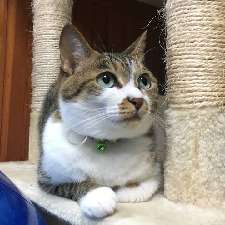 6840e3c1 bde5 4585 b8a6 a4e30ac63877 1531660468621