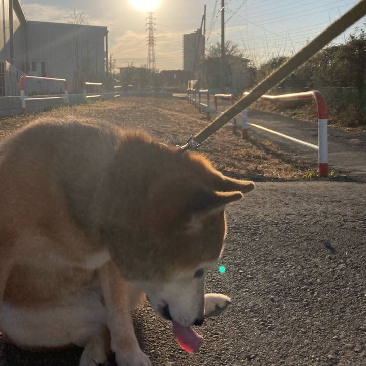 6840eca2 c4f7 488c b92c aaac71fdb257 1706772685963