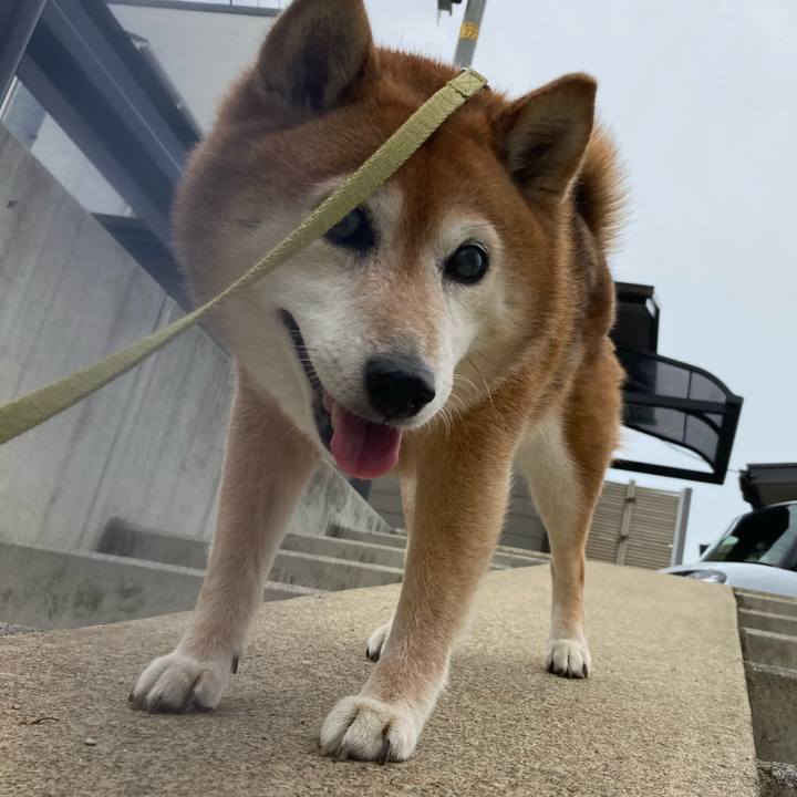 6840f545 ddcb 4881 b948 784bd0e1ff46 1686368743904