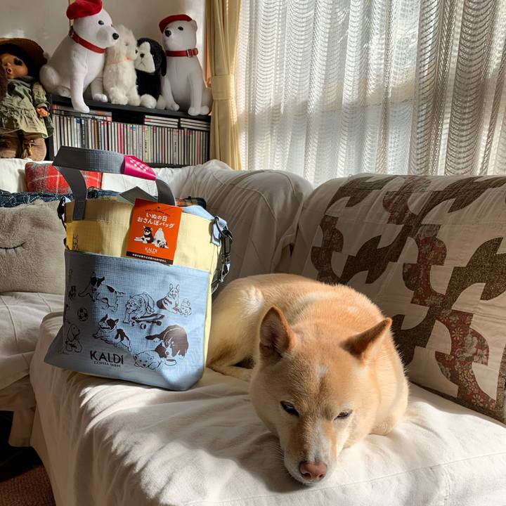 6840fc6c 2b74 4c36 abb7 094d81e34012 1637635729970