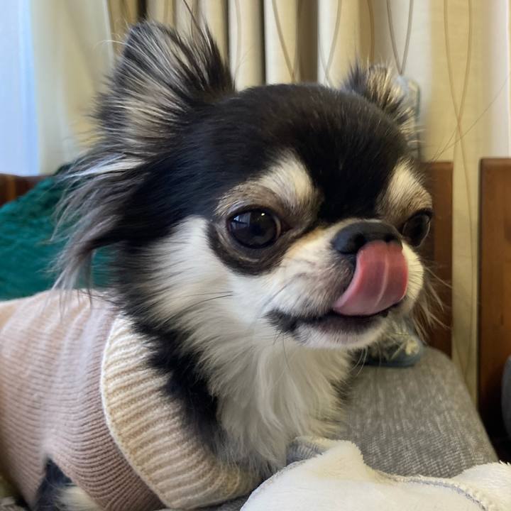 684108da 0aeb 4fb0 b239 5b3a2c52494f 1641216374578