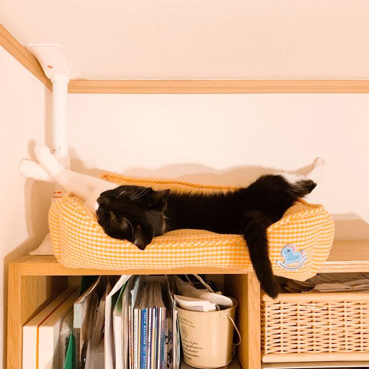 684114f5 1df0 4092 8435 e4fb81785258 1566807567464