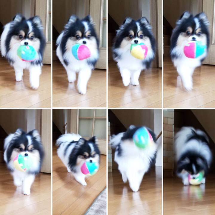 6841466c 24bd 415f 9a31 aa7c33a31da6 1526172936172