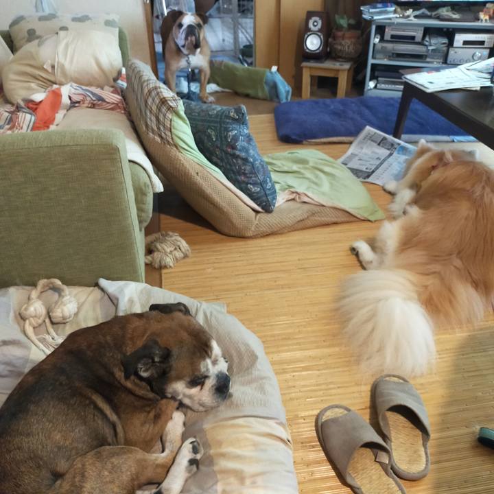 68414ac6 5c77 4eed bc01 97a9d4fe65b4 1660025554354