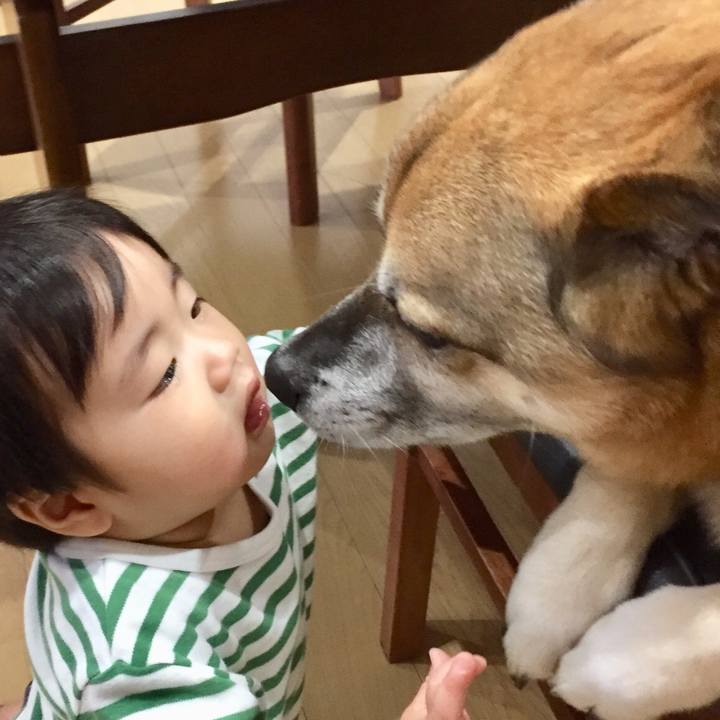 684154b1 4b22 452e aa28 8c063674f5a6 1553157016127