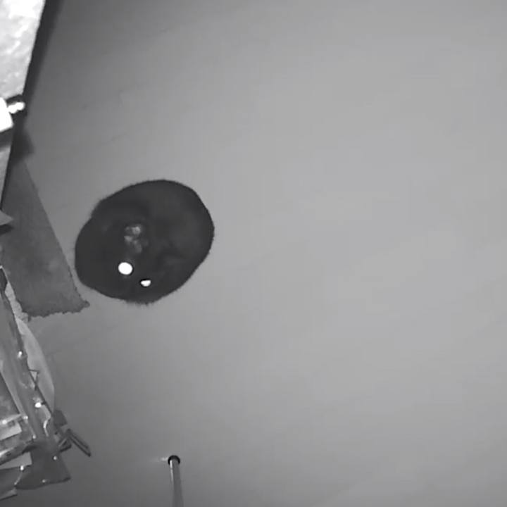 68417d76 77cf 4b4e bb36 18edb2c3345a 1516009604041