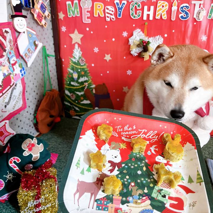 684188a1 f8ae 489b 8e23 1a587c79bdaa 1702694694101