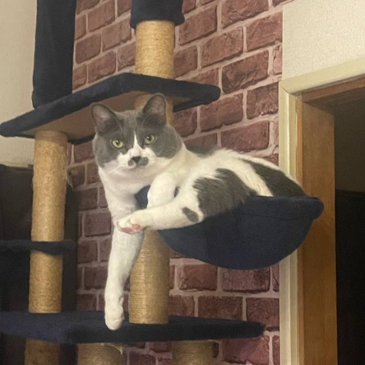 68418ab2 6c3f 47b5 bc3a 03dbdad09e0a 1728838651171