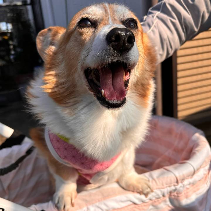 6841b245 b22e 4e0b 9371 8324f9f12f22 1769481096492