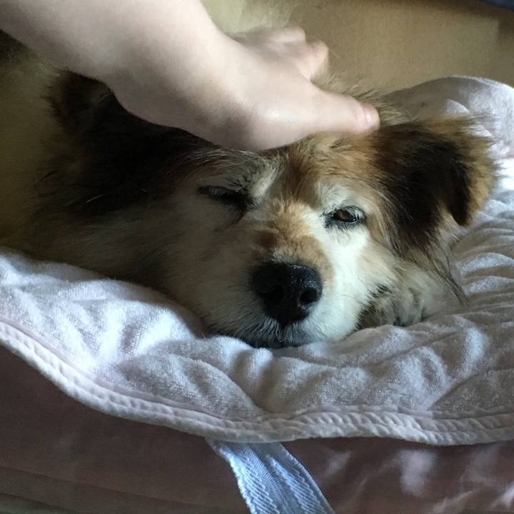 6841b259 2a13 4164 8905 ad5fe36e5dea 1608009714000