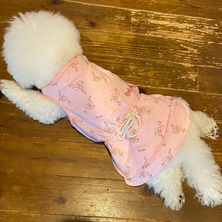 6841e170 fb75 4ffc af1c fa737f39ea2f 1621212600455