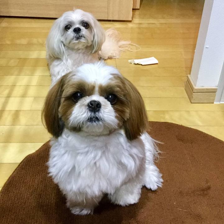 6841e69c edd3 430f 9aca 49d53457d855 1549274613975