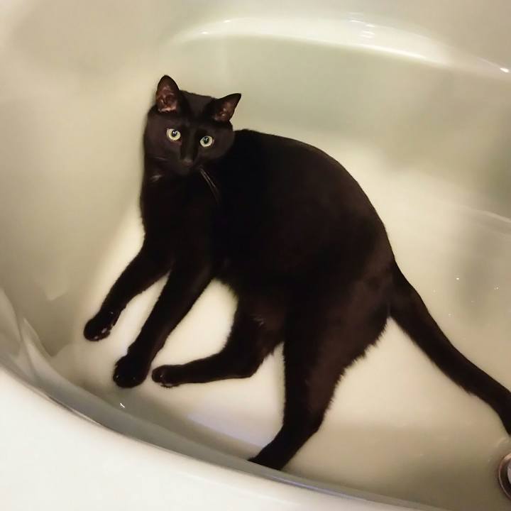 6842094b d339 4238 a1f2 0c68db7aa8bf 1552092493079