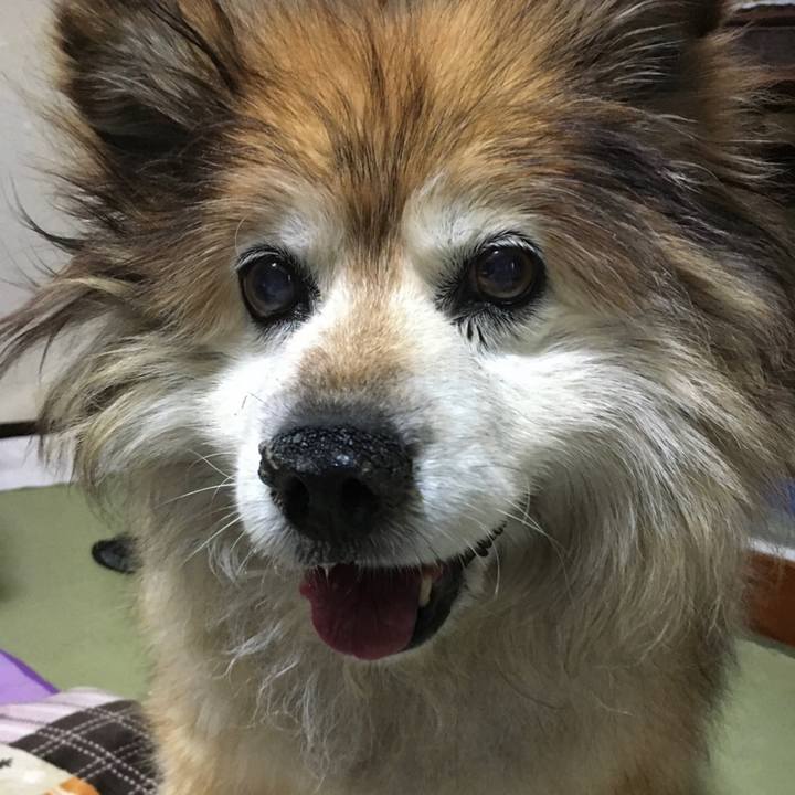 6842168e e4ae 4e23 a377 0e438eb04364 1582339452650