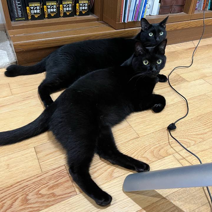 68425e1d a6c4 4514 9ab1 06426275870c 1662787330180