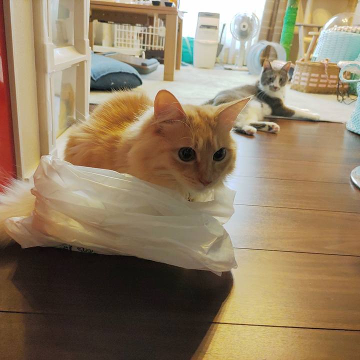 6842a4c6 d509 4cc6 8f2e 2b345d0281cd 1665787476079