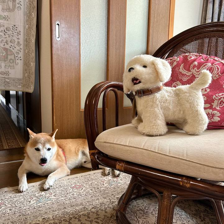 6842d2e4 9924 4092 b1d0 ec5898208082 1720091303134