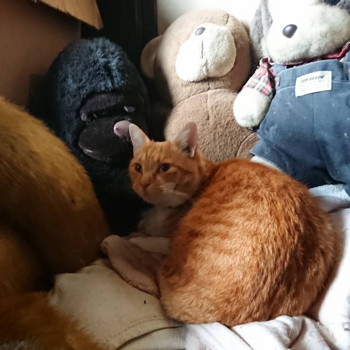 6842e24f faa8 414f 9fb9 3b72022eec89 1606090484983