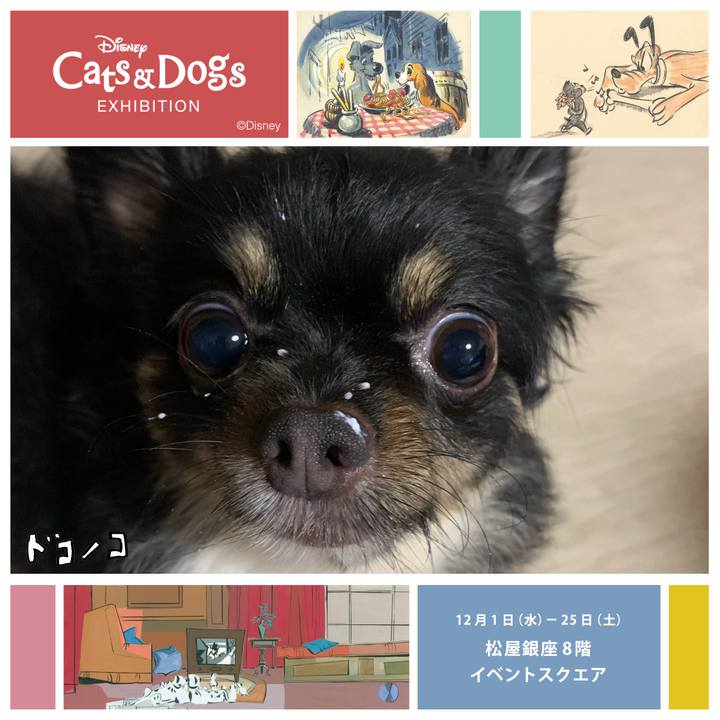 6842e9f8 6f81 452b 9b71 00f80e062b9e 1638366641572