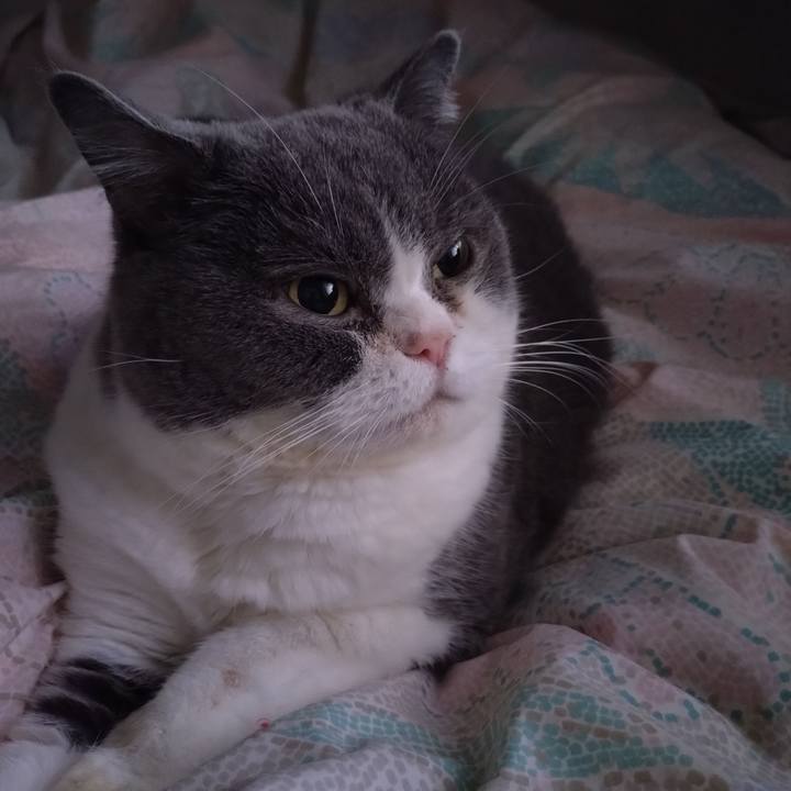 6842f6bb d557 4c8f 9558 a050a710cc3d 1762389556803