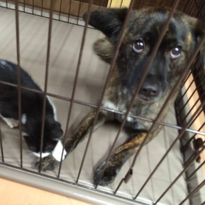 68433055 e8bc 47b6 8abe 65ba55506170 1552559391409