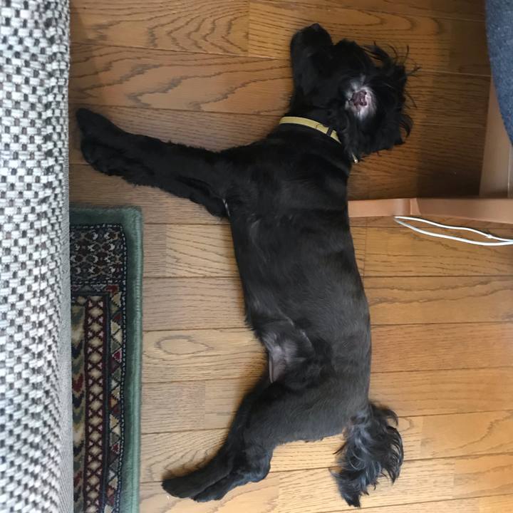 68434249 018c 4a31 b7f7 e00ba00b5f41 1567602921363